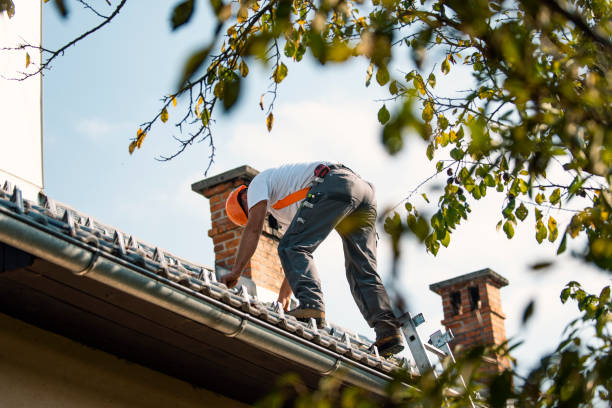 Best Roof Inspection  in Borden, IN